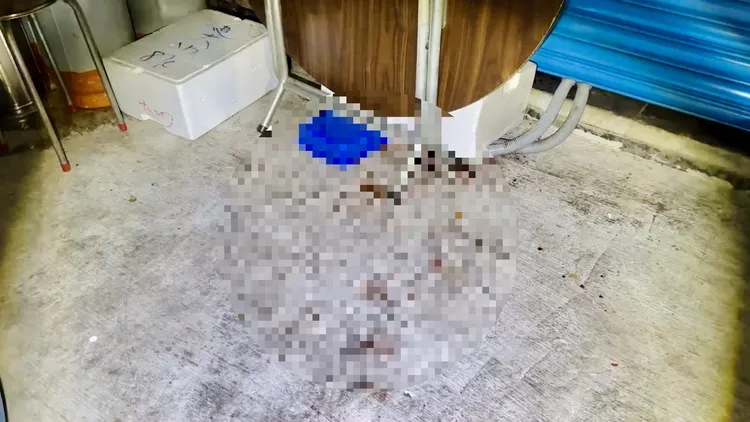 店門口依稀可見血跡斑斑。讀者提供