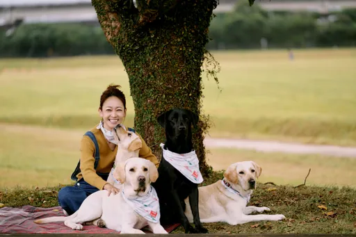 JINS讓愛閃耀　成為導盲犬的小太陽