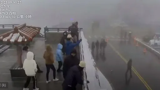 合歡山下雪了!武嶺-2.5℃山坡覆白雪 遊客凍爆仍嗨翻