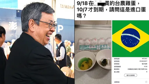 羅智強為「綠色臭蛋」告發陳建仁、陳吉仲 北院裁處出爐