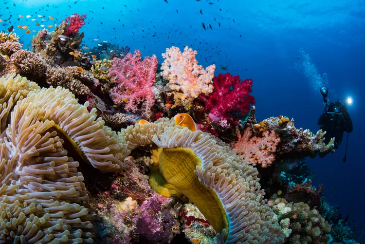 彈頭MV與世界級攝影師吳永森、歐大合作。美秀創意提供