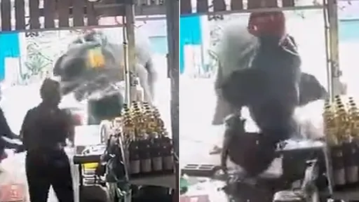 女老闆餵食裝熟「激怒大象」 牠衝進雜貨店揮鼻開砸