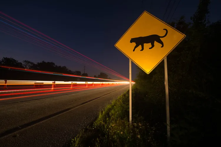 Fernando Constantino Martínez Belmar/ NPOTY 2023