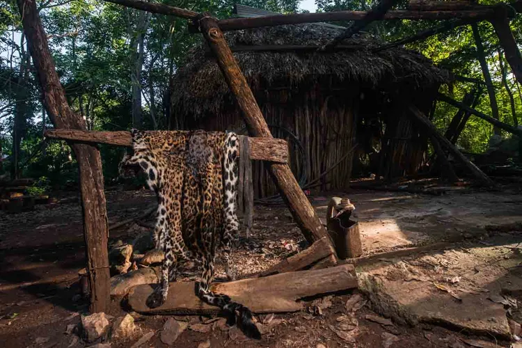 Fernando Constantino Martínez Belmar/ NPOTY 2023