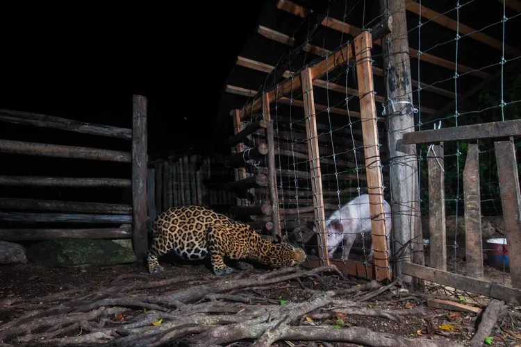 Fernando Constantino Martínez Belmar/ NPOTY 2023