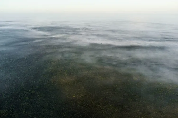 Fernando Constantino Martínez Belmar/ NPOTY 2023