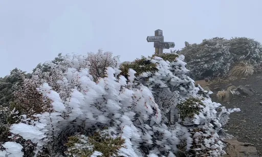 寒流發威!雪山主峰氣溫0˚C多處結冰 降冰霰現雪白美景