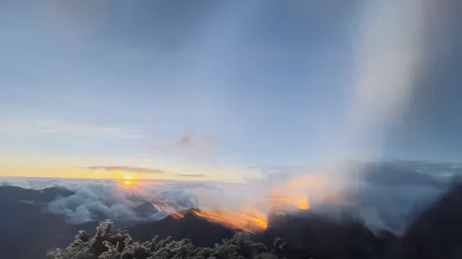 有片｜玉山清晨低溫-8.2°C！陽光露臉襯絕美霧淞　雲海秀湊熱鬧