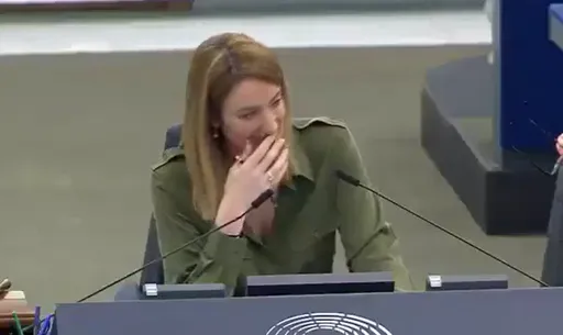 歐洲議會開會遭噪音鬧場 議員不怒反笑