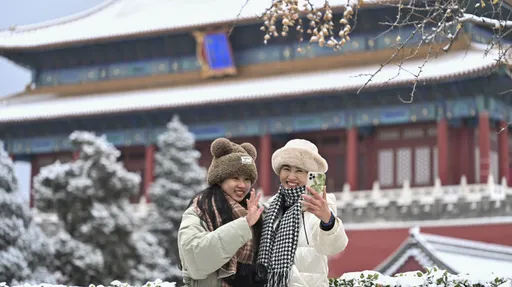 雪景多圖！大雪連天際　冰封北京城