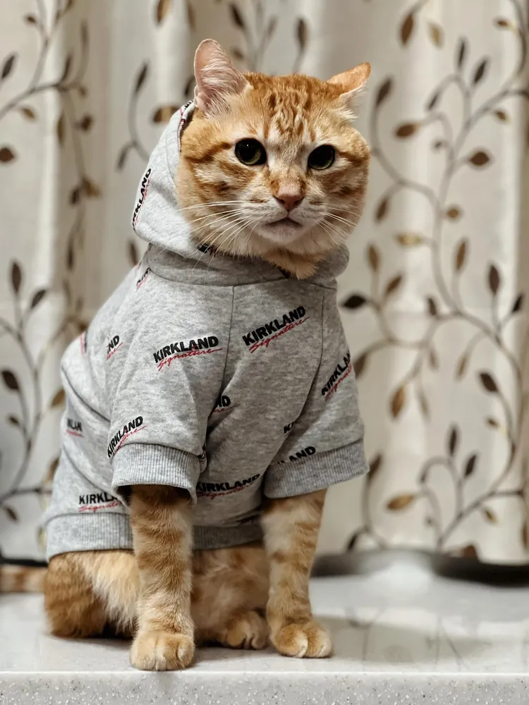 好市多「恥度衣服」出新貨，這次他牠完美駕馭。翻攝自「Costco好市多 商品經驗老實說」臉書