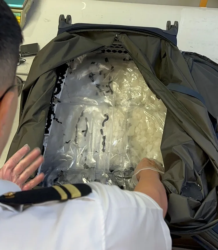 行李箱夾層起獲毒品。航警局提供