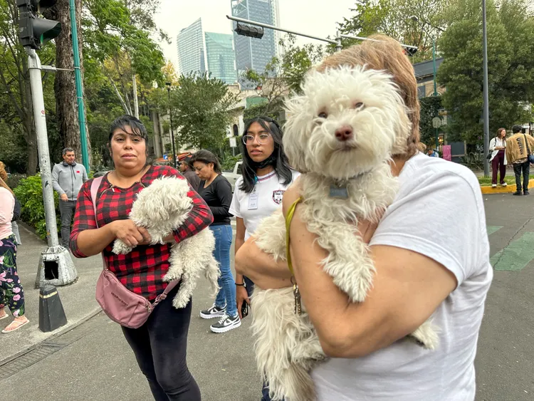 民眾逃難不忘帶著寵物。路透社