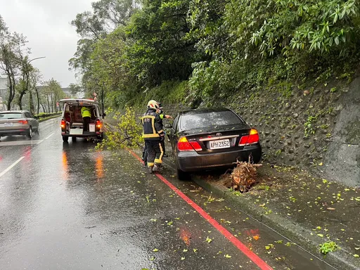 失控「開上人行道」！基隆男猛撞路樹昏迷　命危搶救中
