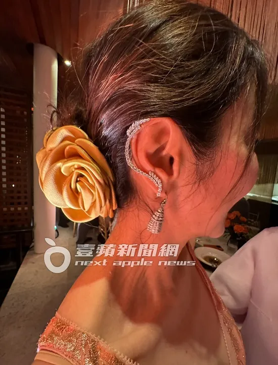 上耳環是楊紫瓊自己的，下耳環是影后徐楓送的。吳玉愛攝