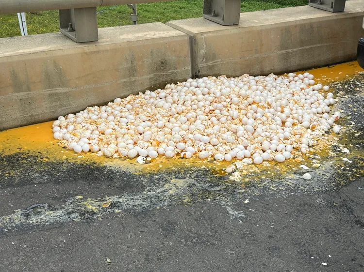 小貨車上載運的一桶逾期蛋也摔落碎裂。楊梅警分局提供