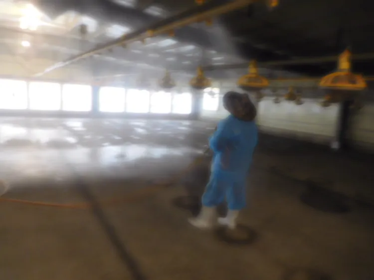 家禽場消毒作業。動保處提供