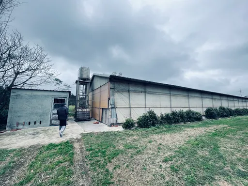 防治禽流感!桃園動保處加強監測 督促養禽業者落實自主防治