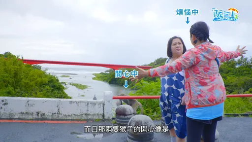 羞爆！楊貴媚曝鍾欣凌出外景　撞見猴子上演交配秀