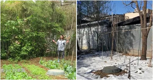 周海媚北京4億別墅人去樓空 開心農場荒涼現況曝光