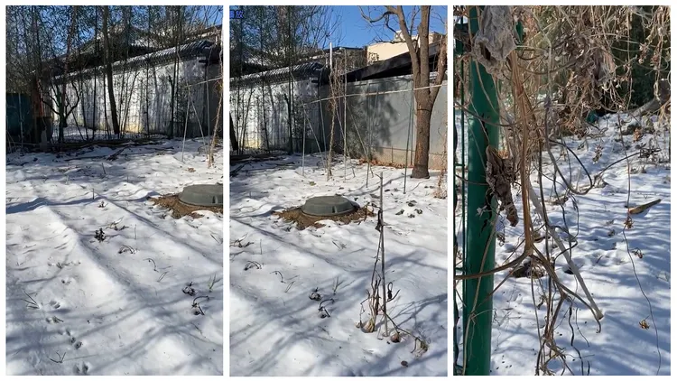 周海媚生前的菜園如今已一片荒涼，被白雪覆蓋。翻攝《我心隨你遠行2012的微博視頻》的微博