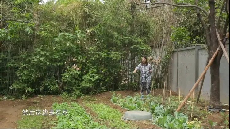 周海媚生前在別墅旁種花種菜的小菜園。翻攝《周海媚》的西瓜視頻