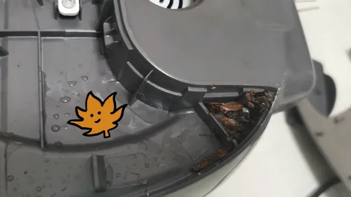 電子鍋底部一拆「盡是小強屍體」　她哀號：吃了3年蟑螂蒸飯