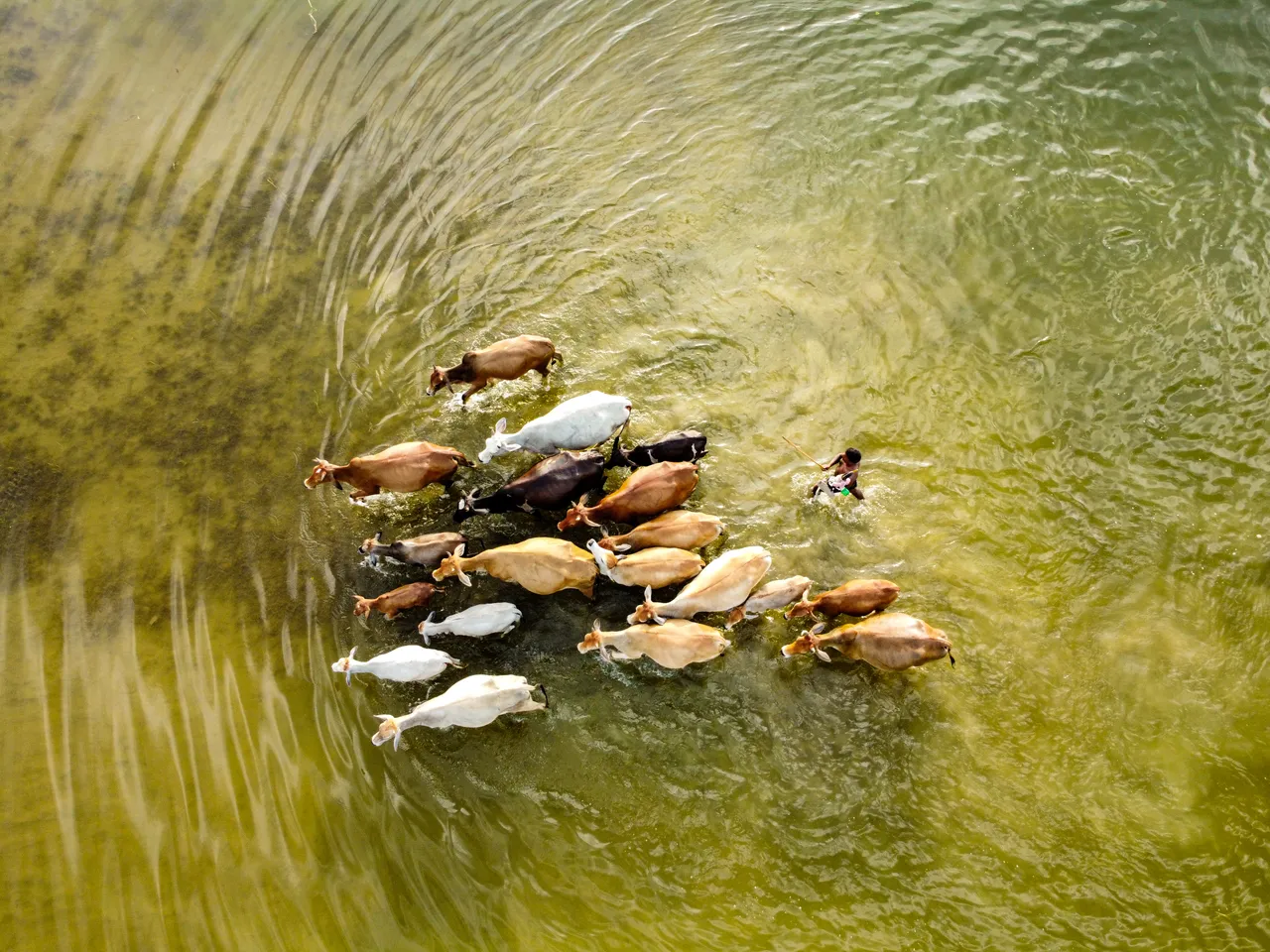 「洪水影響地區」©Solayman Hossain/Environmental Photographer of the Year 2023