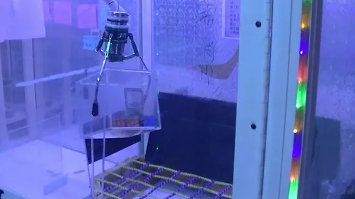 娃娃機改夾這東西「最高2萬獎金」　結果被警察抓了！業者客人均遭起訴