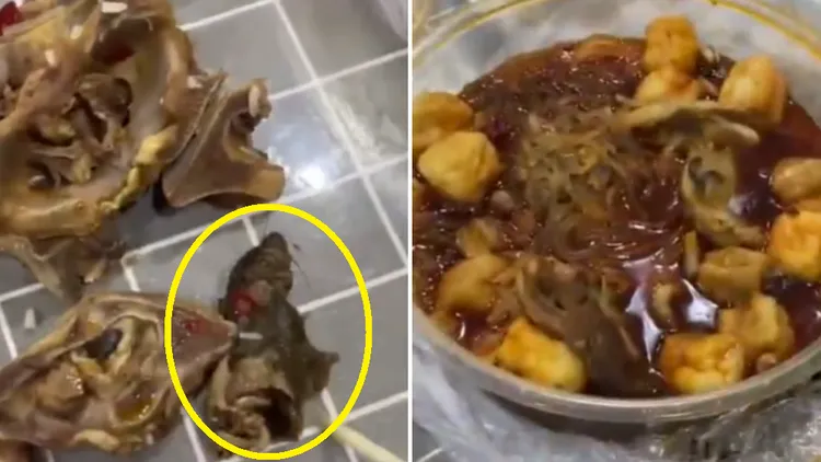 中國江蘇有顧客吃羊肉爐外賣，吃到只剩下半截的老鼠。翻攝微博/江蘇鹽城射陽縣