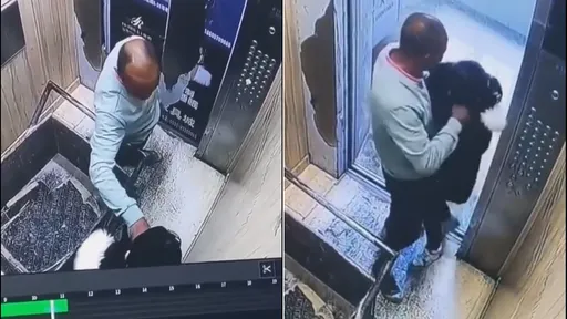 狼性!中年禿男「電梯內狎女童」 鹹豬手鑽入衣內亂亂摸