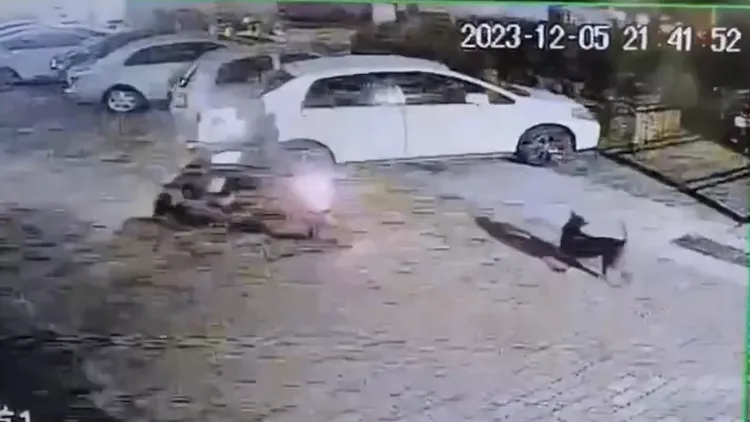 該男子12月再次放狗行兇。市議員提供