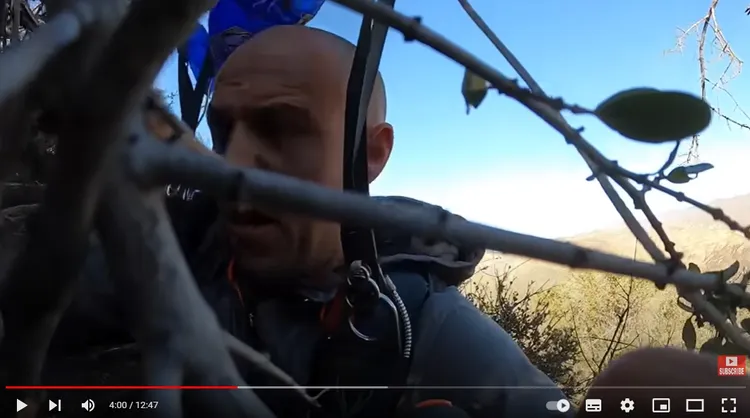 雅各降落在灌木叢。翻攝YouTube@trevorjacob