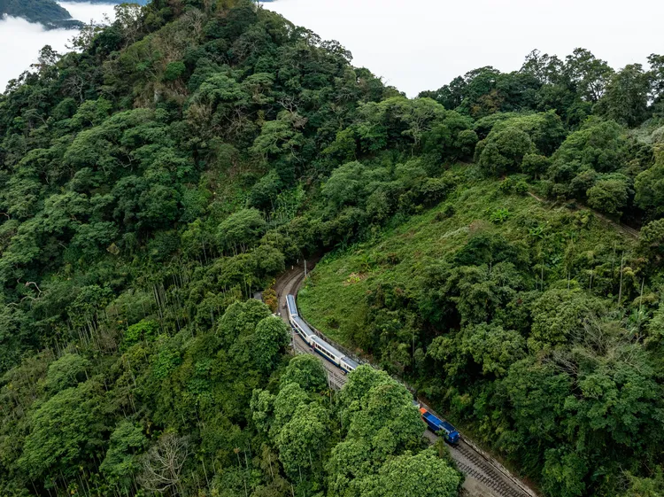 栩悅號穿梭山林鐵道。築點設計提供