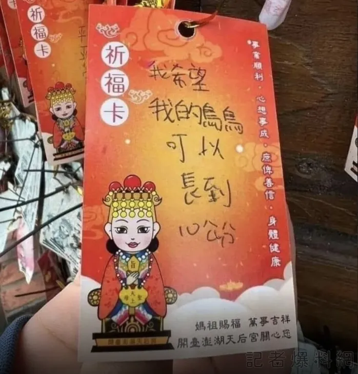 澎湖天后宮祈福字卡寫明希望鳥鳥可以長到10公分。翻攝自記者爆料網