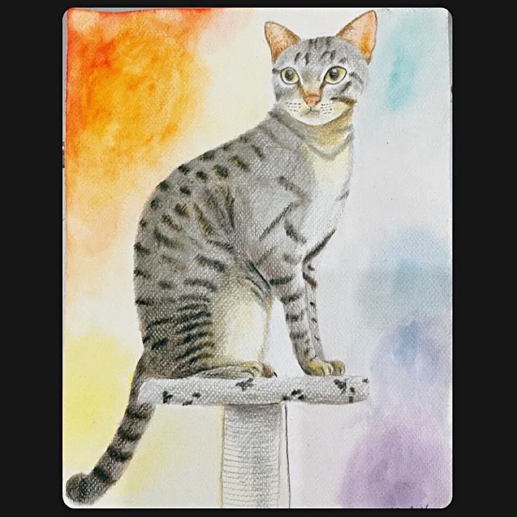 鹿鳴漾漾畫作愛貓小噗。（17LIVE提供）