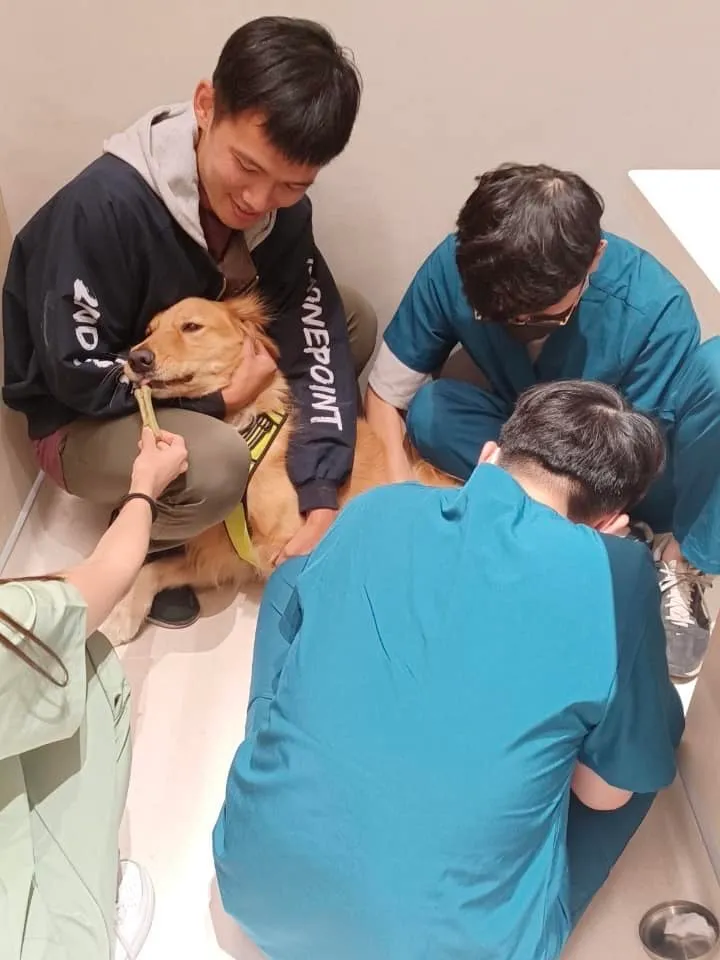 「媽寶」顧著吃潔牙骨，完全忽略了醫師扎針抽血。翻攝自台南Josh臉書