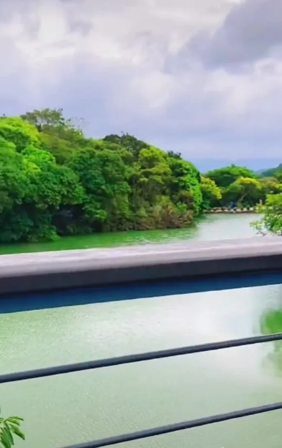 情人湖吊橋上視野。TikTok@tong_dailyfood 提供
