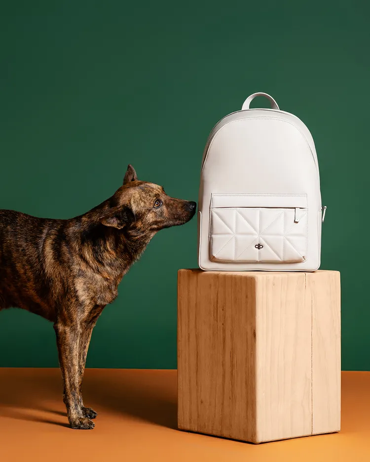 ICON幾何圖案後背包擁有高顏值。品牌提供