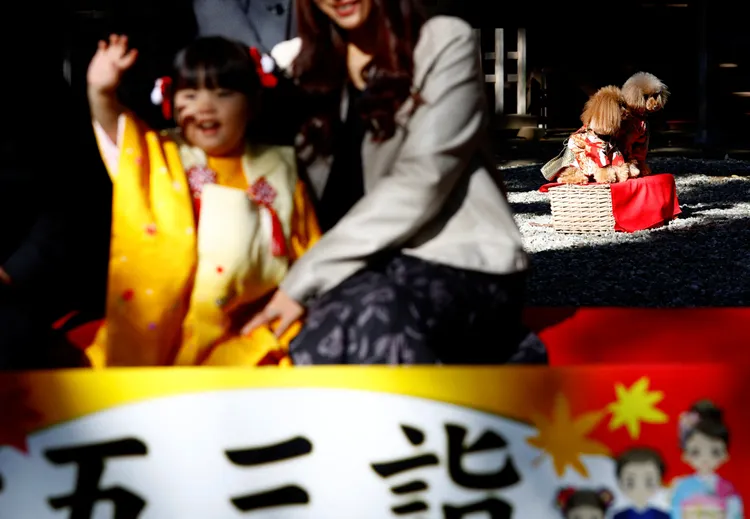 上月15日是專門為兒童祈福的七五三節，家長帶小朋友到神社祈福。資料照片