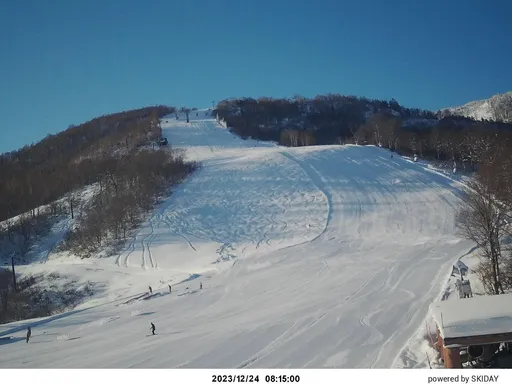 滑雪摔倒後被雪活埋　中國女遊客在日本喪命