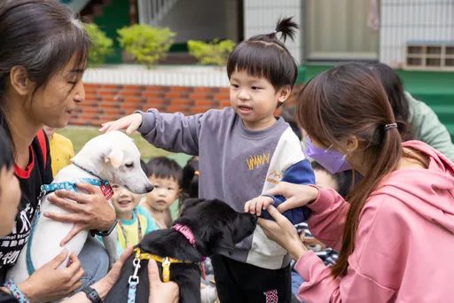 生命教育向下扎根!動保志工前進幼兒園 受虐毛孩當「狗助教」
