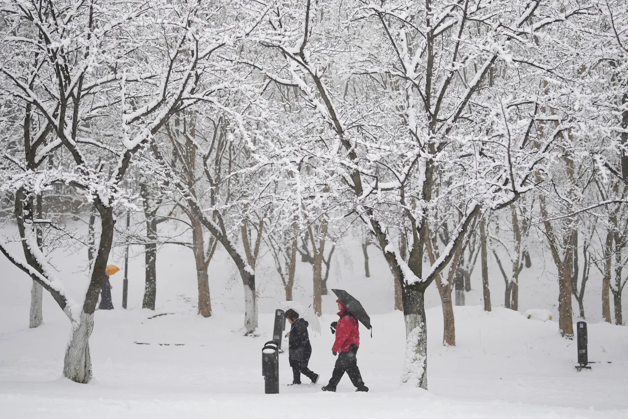南韓京畿道高陽市,被白雪覆蓋。美聯社