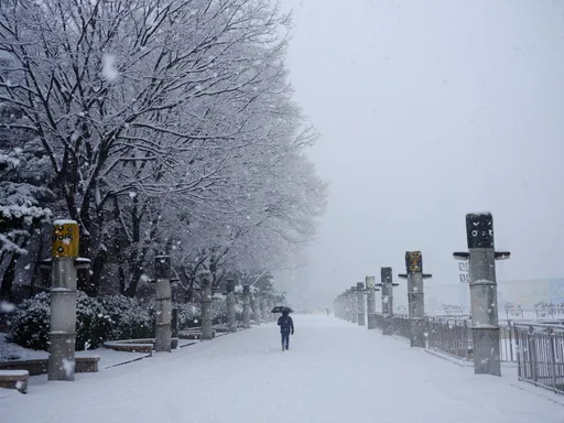首爾大降雪破42年紀錄 巴士打滑釀7傷