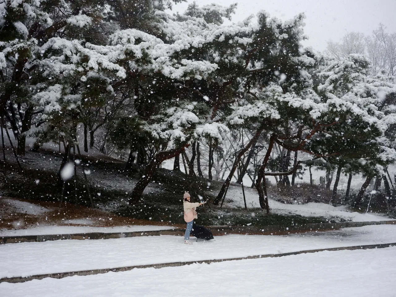 南韓首爾今天的積雪量打破42年紀錄。路透社