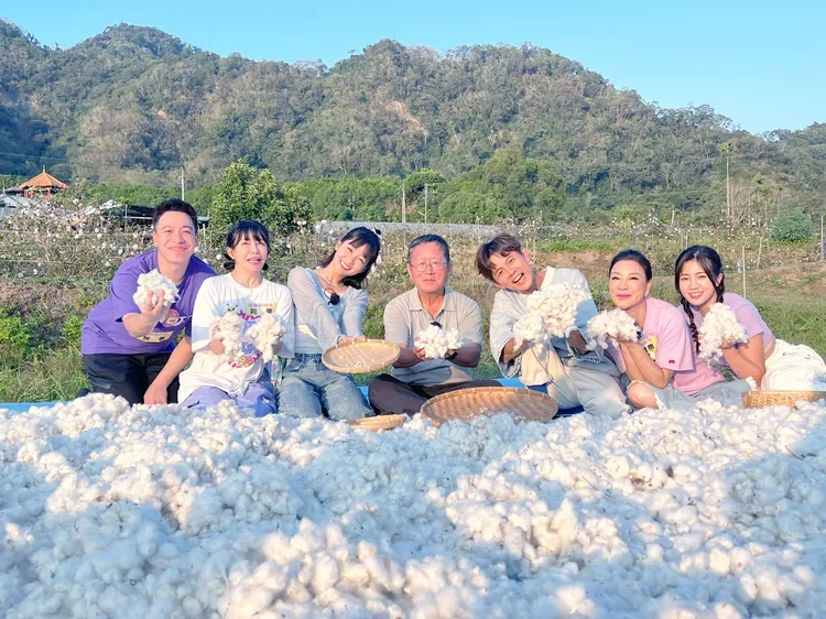 藝人們體驗棉花達人。民視提供
