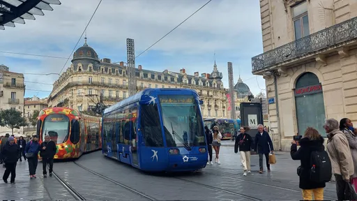 法國南部城市推大眾運輸免費 環保+提升居民購買力