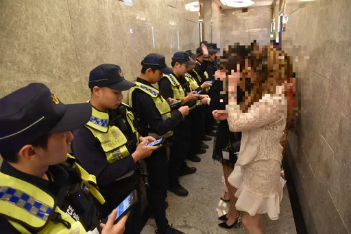 選前淨化治安 桃警動員410人擴檢績效佳