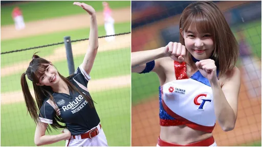 殘念!圖書館典藏性感寫真找不到了 館方證實:「觀感不好」已下架