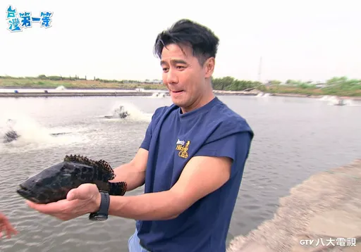 遭凶猛龍虎斑刺傷 郭彥均不慎見血